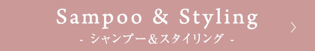 シャンプー＆スタイリング