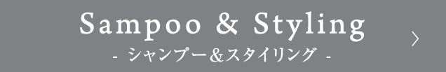 シャンプー＆スタイリング