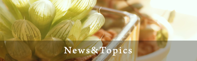 News & Topics